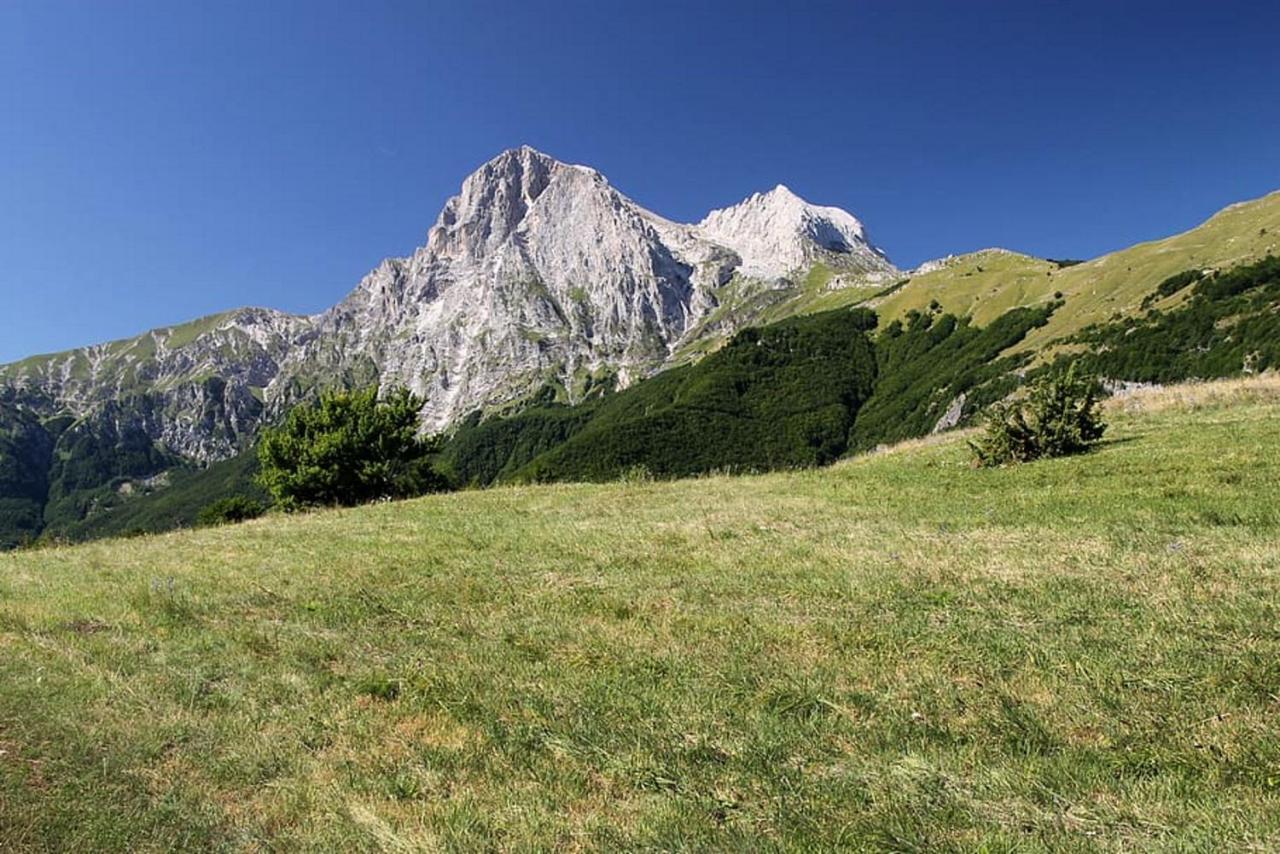 Complesso Turistico Aurora - Camere B&B Poggio Picenze エクステリア 写真